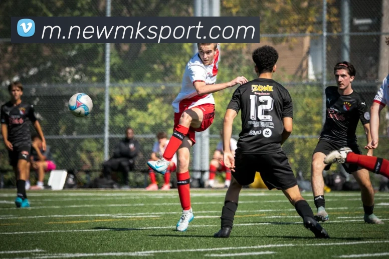 MK体育服务体系